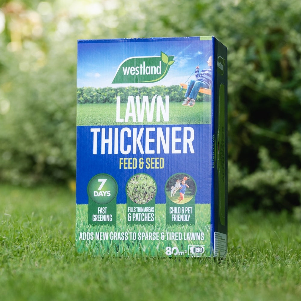 Westland Lawn Thickener Feed & Seed 80m²