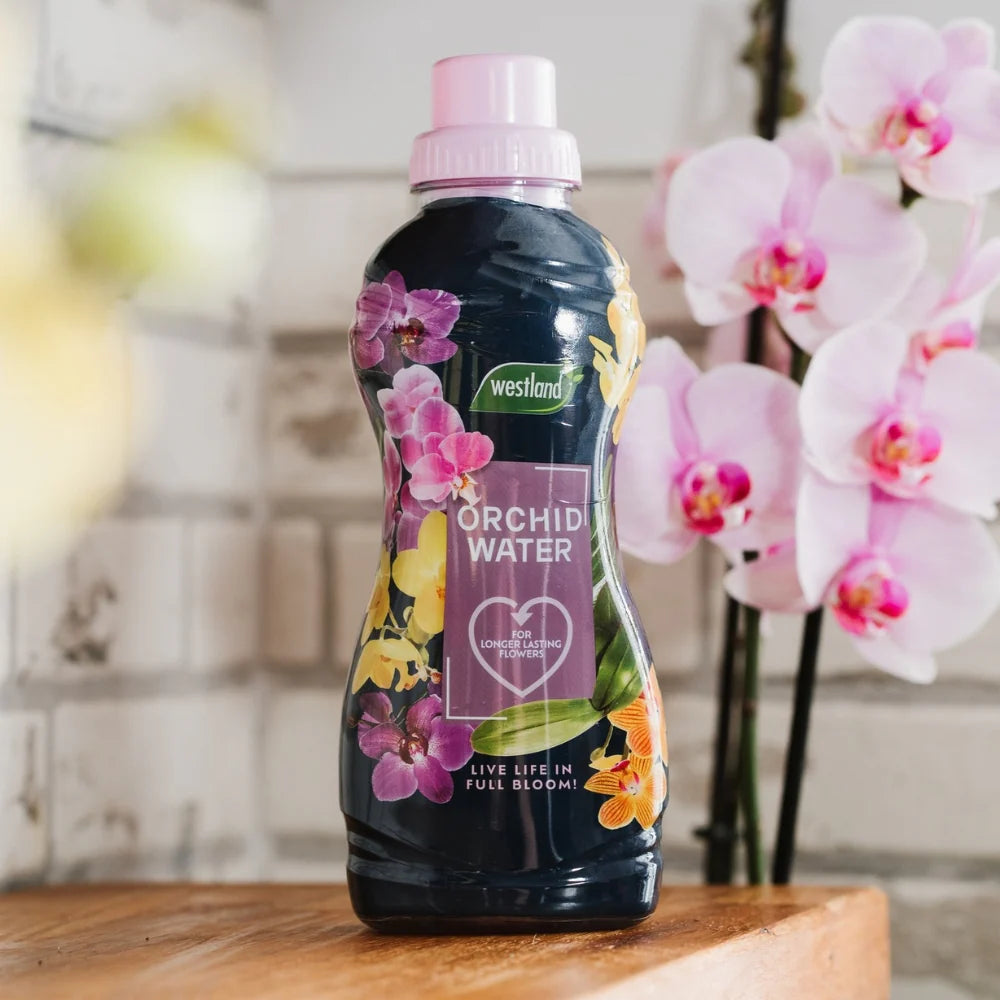 Westland Orchid Water Ready to Use Plant Feed 720ml