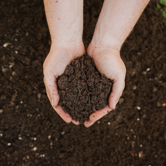 Westland Raised Bed & Vegetable Soil 40L