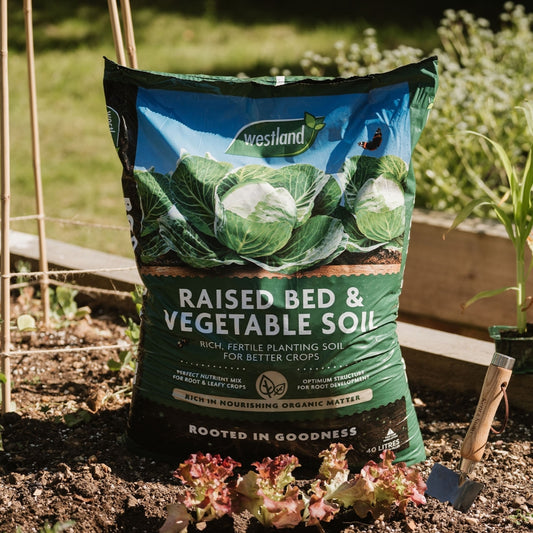 Westland Raised Bed & Vegetable Soil 40L