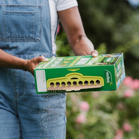 Westland SafeLawn Natural Lawn Feed 80m2