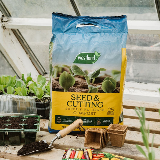 Westland Seed & Cutting Compost 25L