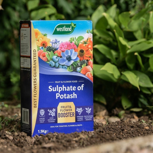 Westland Sulphate of Potash Fruit & Flower Booster 1.5kg
