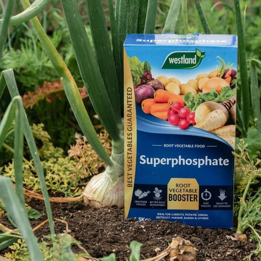 Westland Superphosphate Root Veg Booster 1.5kg