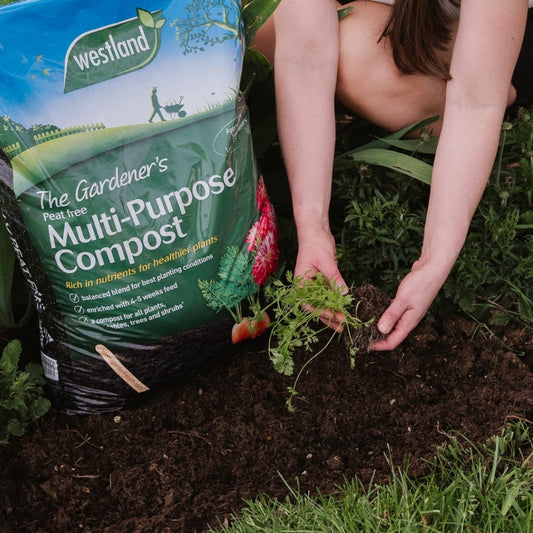 Westland The Gardener's Multi Purpose Compost 50L
