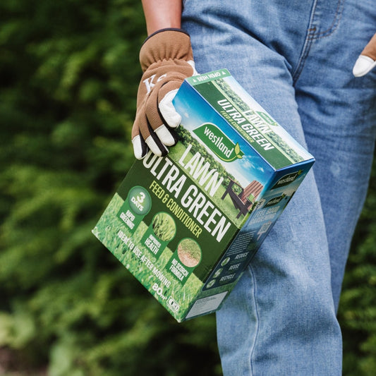 Westland Ultra Green Feed & Conditioner Lawn Feed 80m2