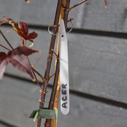 White Plant Labels 12.5cm 100 Pack