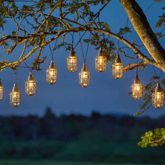 Anglia 365 String Lights - Set Of 10