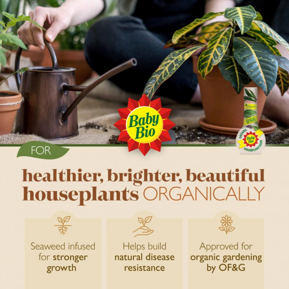 organic house plant food Baby Bio Organic Houseplant Food – Polhill