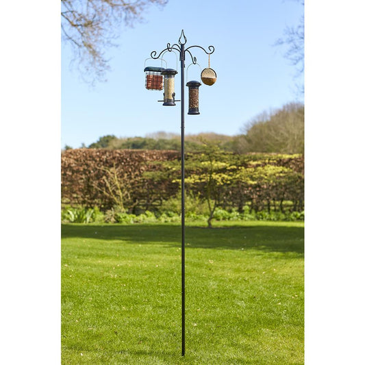 Banquet Bird Feeding Station