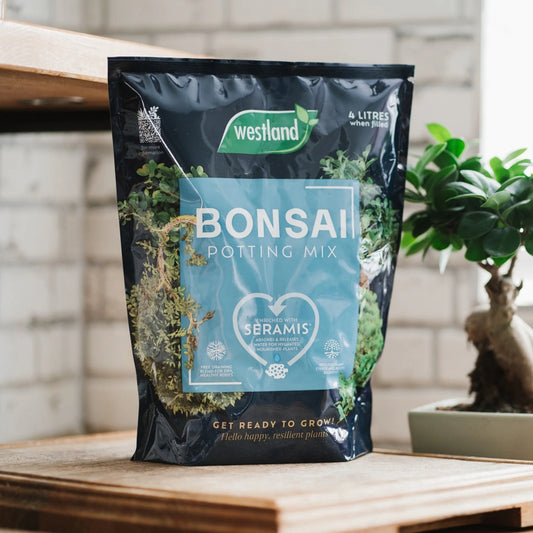 Westland Bonsai Potting Mix 4L