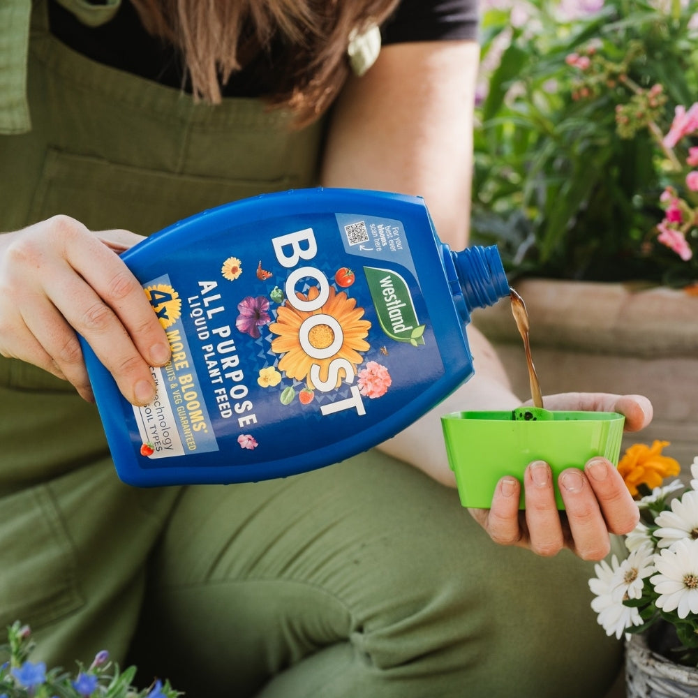 Westland Boost All Purpose Liquid Plant Feed Concentrate 1L