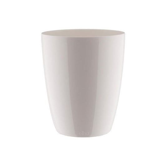 Brussels Orchid High 12,5cm White