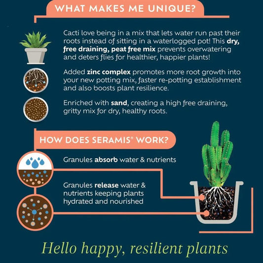 Cacti & Succulent Potting Mix Peat Free 4L