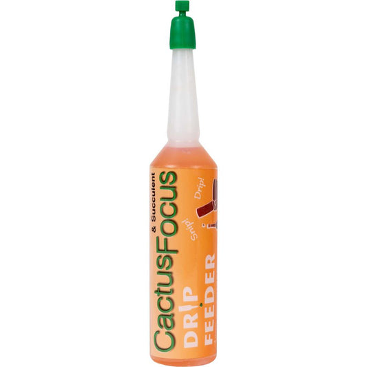 Cactus Focus Drip Feeders 38ml - Single