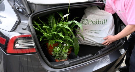 Careers at Polhill Garden Centre | Garden Centre Jobs in Kent