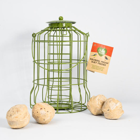 Chapelwood Squirrel Proof Suet Ball Feeder