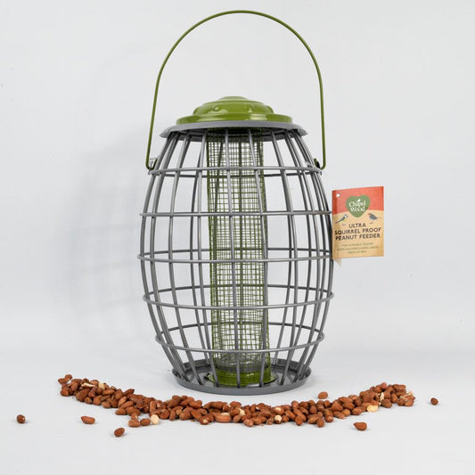 Chaplewood Ultra Squirrel Proof Peanut Feeder