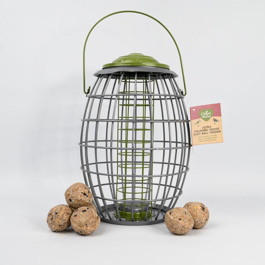 Chaplewood Ultra Squirrel Proof Suet Ball Feeder