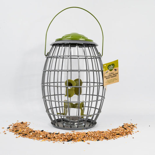 Chaplewood Ultra Squirrel Proof Suet Ball Feeder