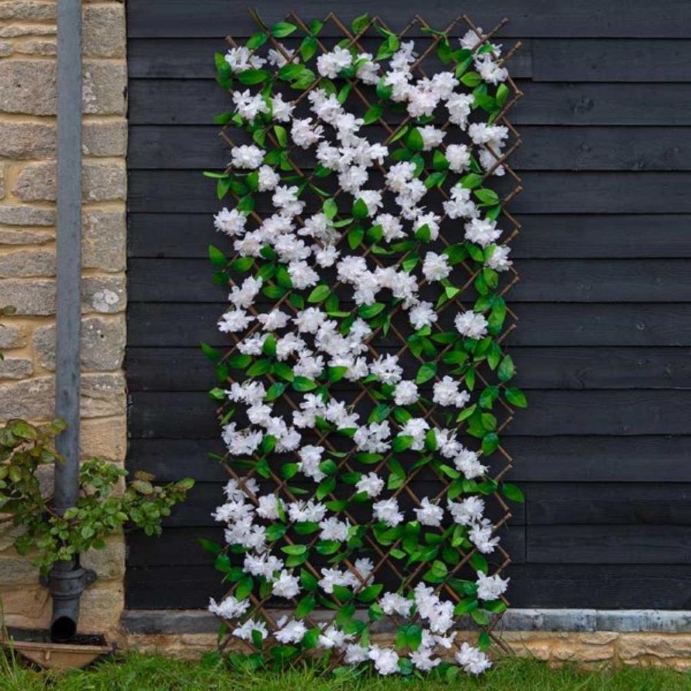 Cherry Blossom Trellis 180 X 90 cm