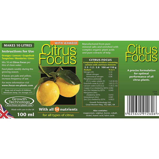 Citrus Focus     300 ml