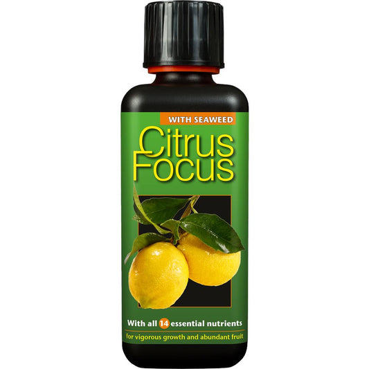 Citrus Focus     300 ml