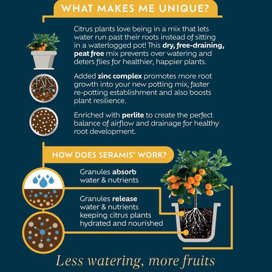 Citrus Potting Mix Peat Free 10L