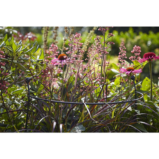 Cottage Garden Arc - Large