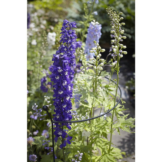 Cottage Garden Arc - Small
