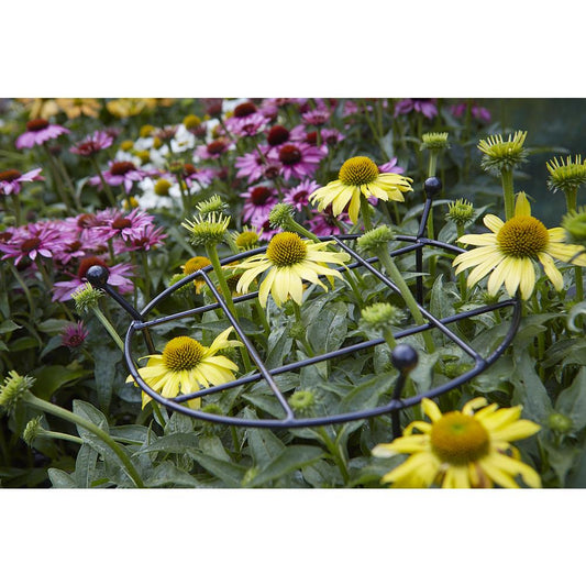 Cottage Garden Grow Thru - Small