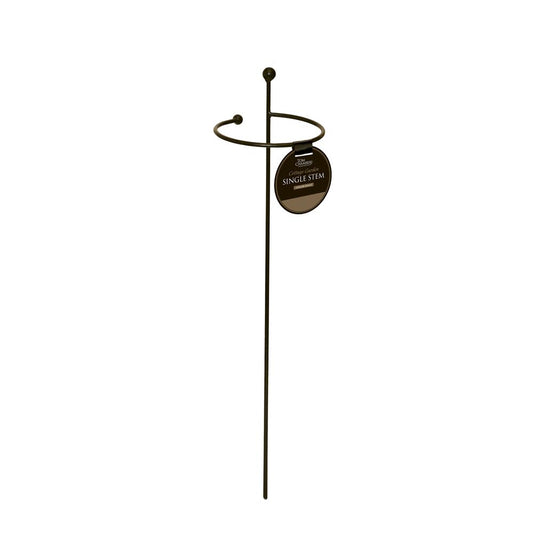 Cottage Garden Single Stem- Large