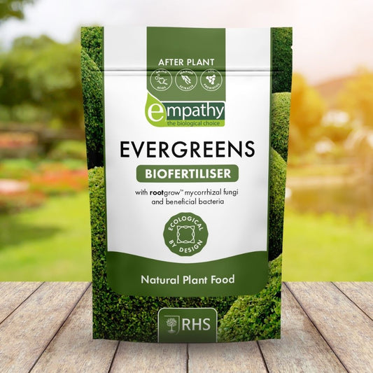 Empathy - After Plant Evergreen with rootgrow