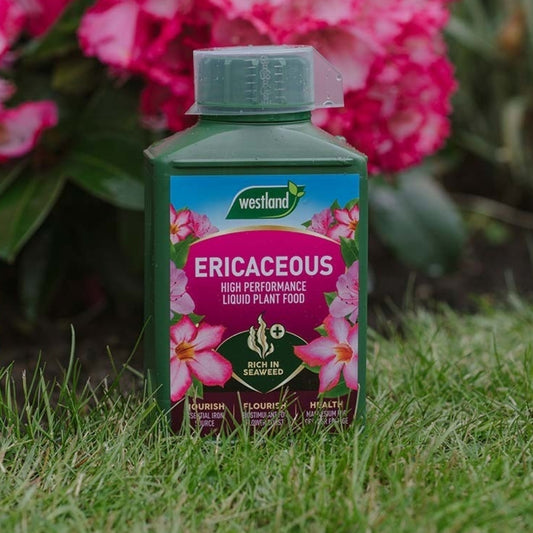 Westland Ericaceous Liquid Feed 1L