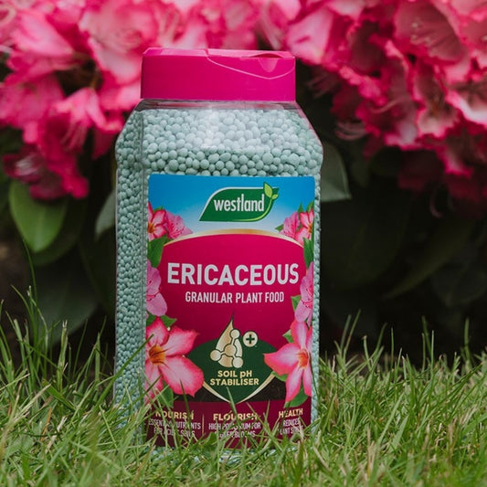 Westland Ericaceous Granules 900G