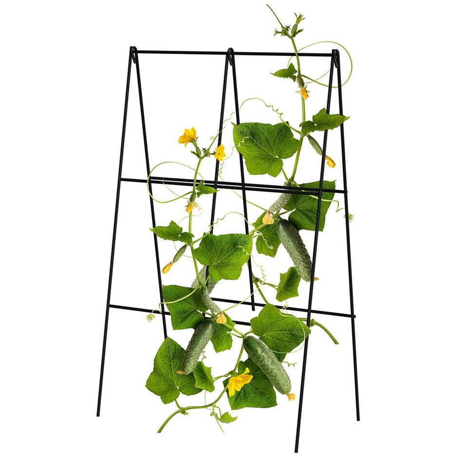 Folding A-Frame Cucumber Trellis - Black