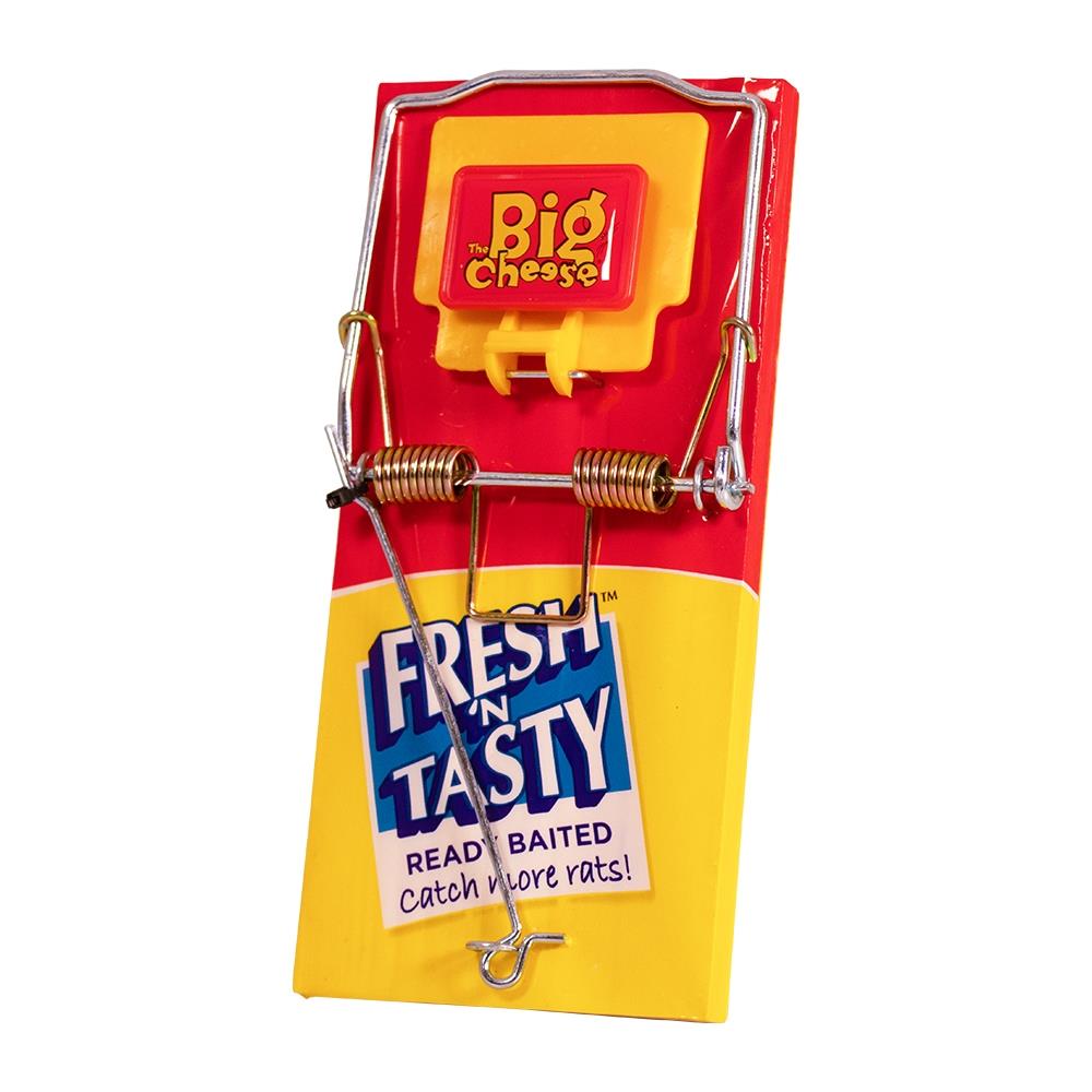 Fresh Baited Rat Trap