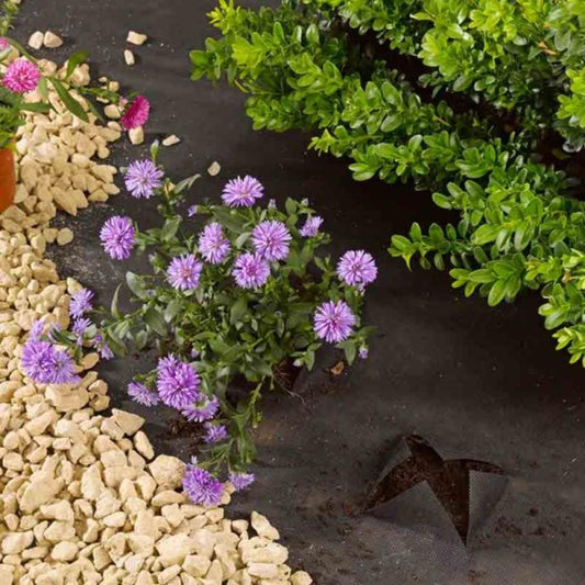 G50 Anti-Weed Fabric - 1 X 15M