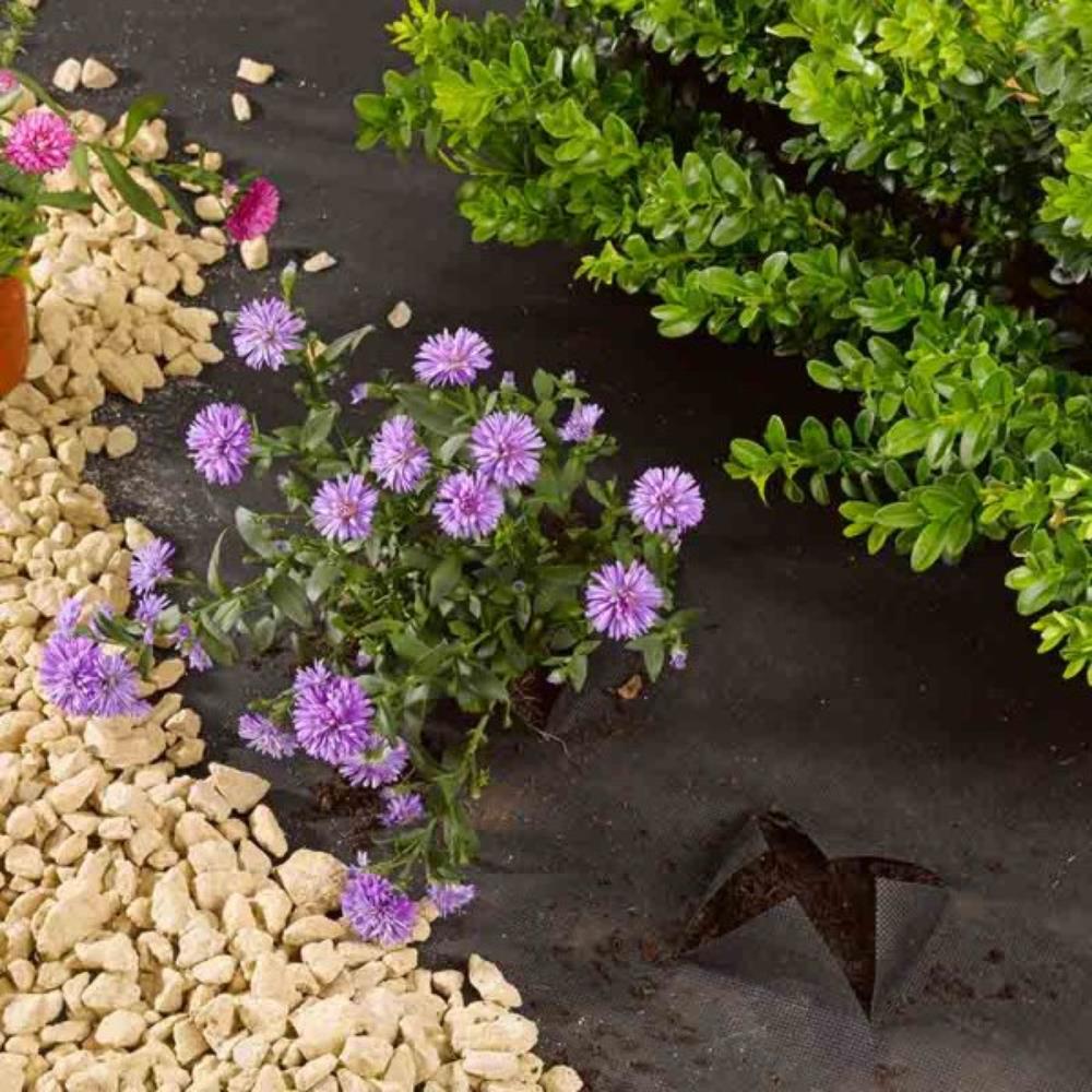 G50 Anti-Weed Fabric 1m x 15m