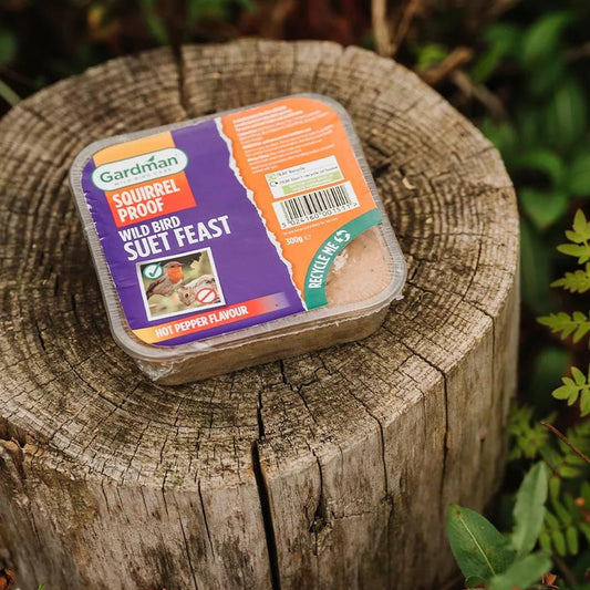 Gardman Squirrel Proof Suet Feast