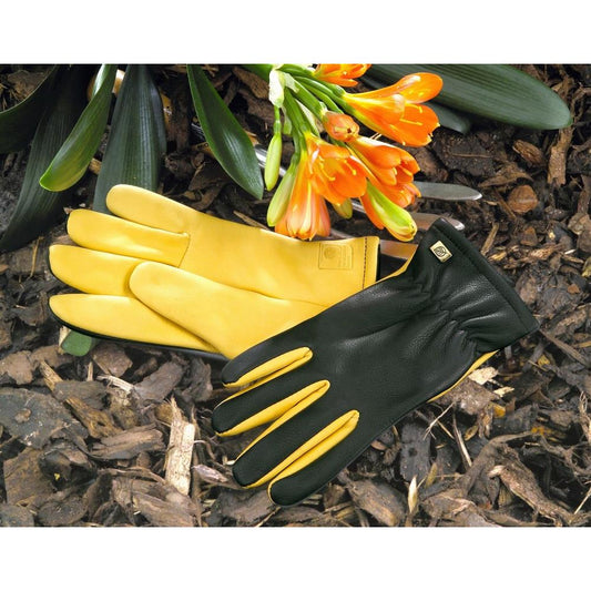 Gold Leaf Dry Touch Gents Gloves