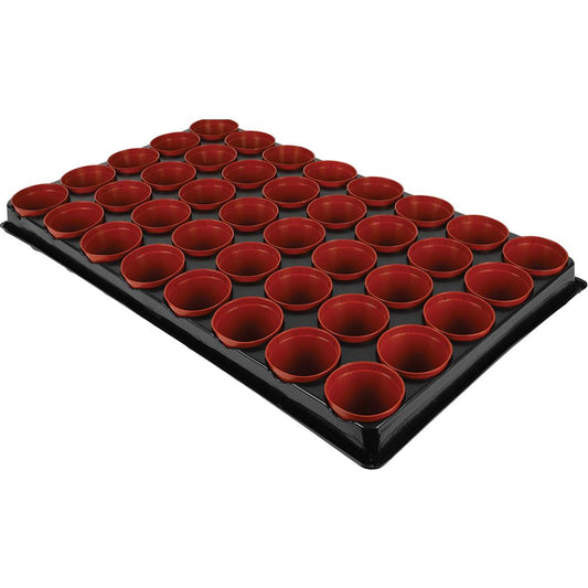 Gro-Sure Seed And Cutting Tray 40 Pot