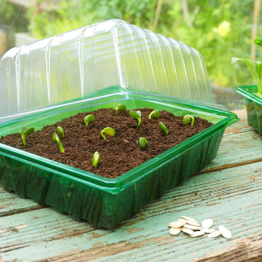 Gro-Sure Visiroot Half Seed Trays 8Pk