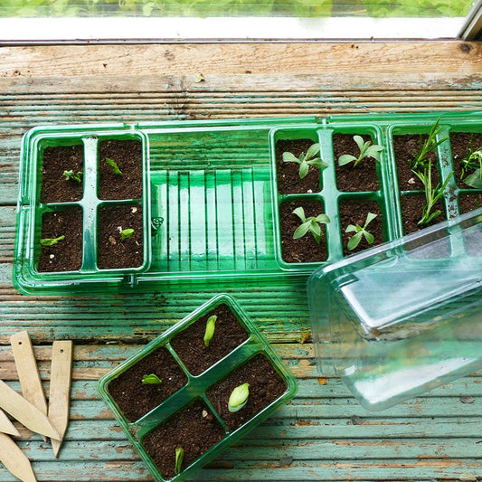 Gro-Sure Visiroot Windowsill Propagator Set