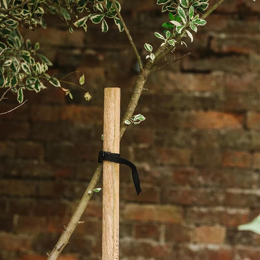 Grow it Round Tree Stake 210cm 82"