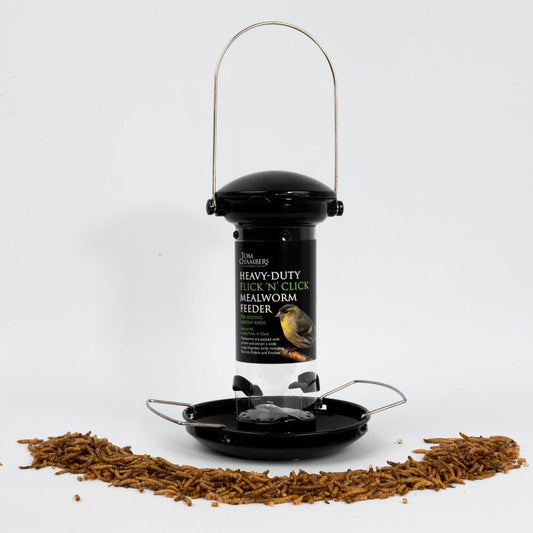 Heavy Duty Flick 'N' Click Mealworm Feeder