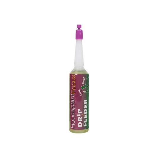 Houseplant Focus Drip Feeders 38ml - Single