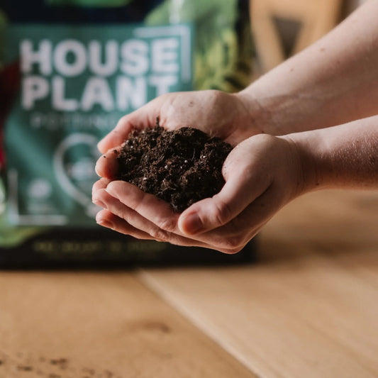 Westland Houseplant Potting Mix 4L