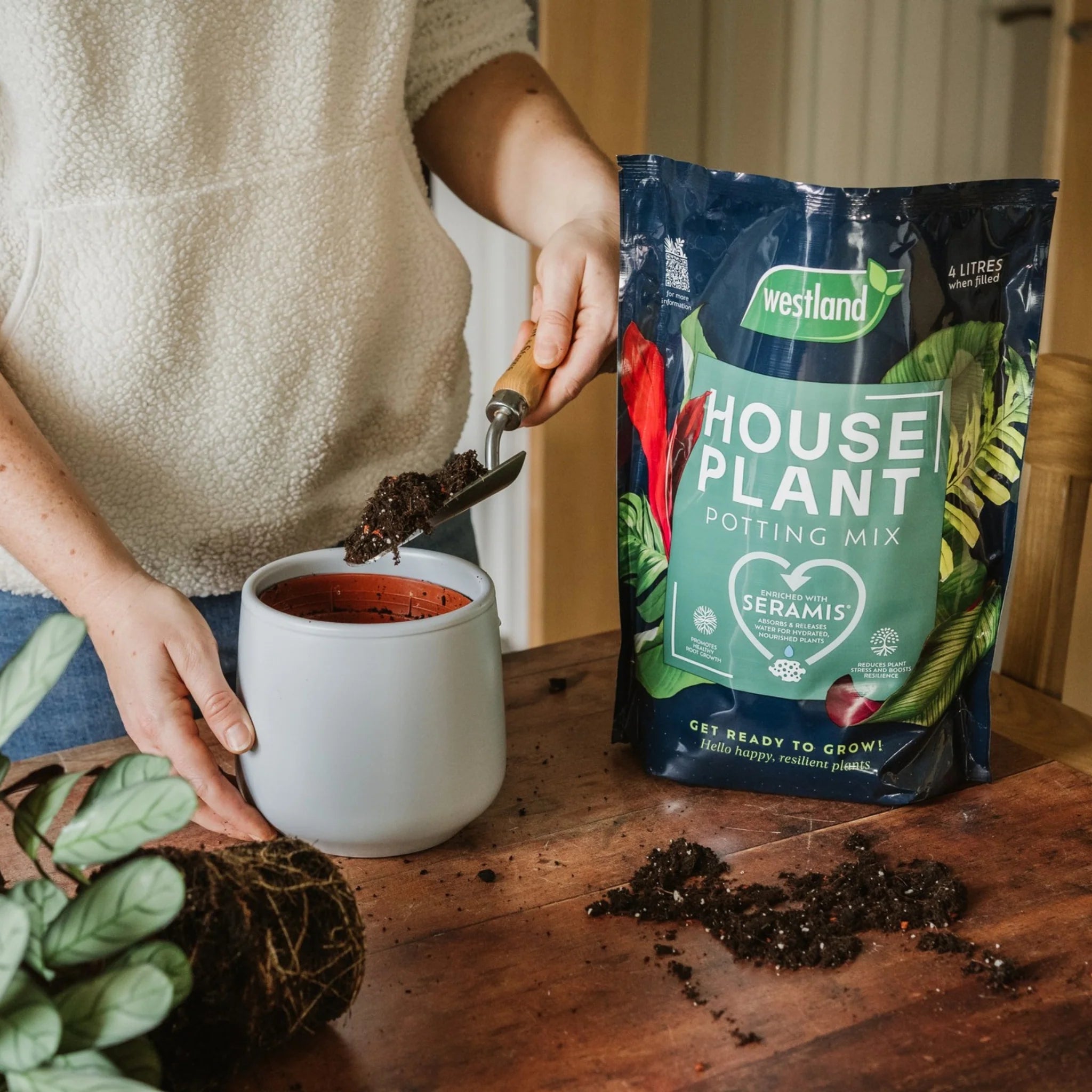 westland potting mix Westland Houseplant Potting Mix 4L | Polhill Garden Centre