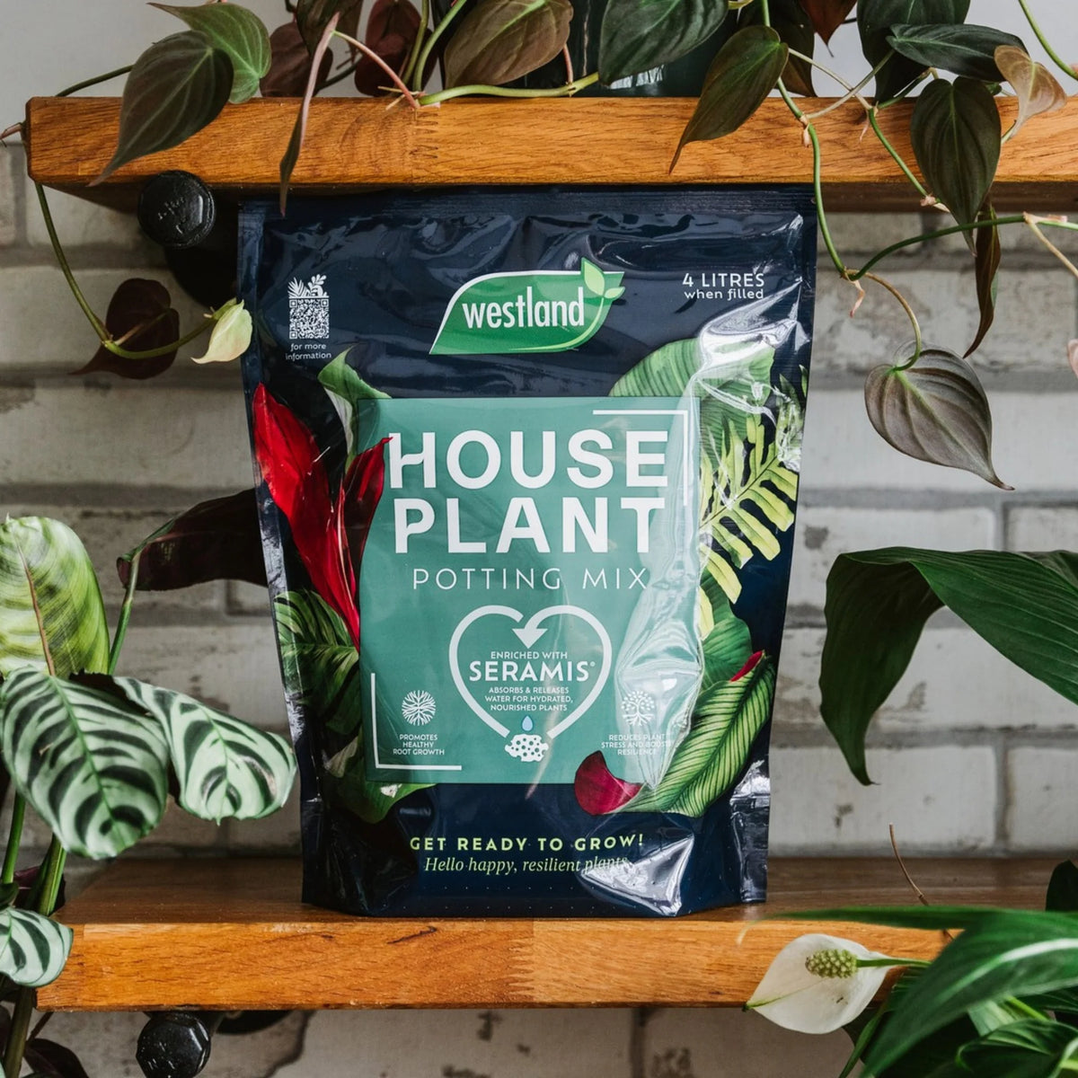 Westland Houseplant Potting Mix 4L